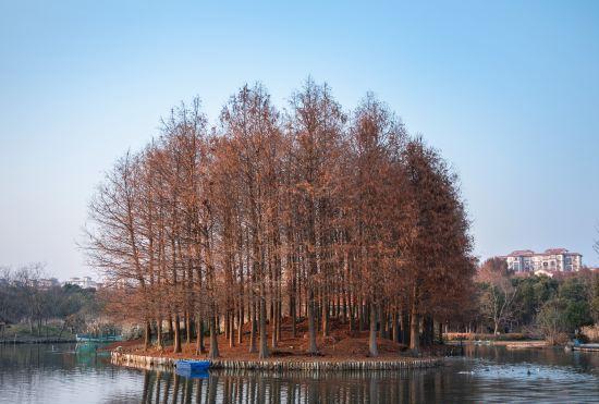 Гостиница Shanghai Yuanshe Xiaozhu Homestay