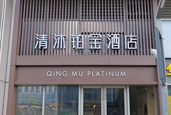 Qingmu Platinum Hotel (Nanjing South Railway Station South Square)