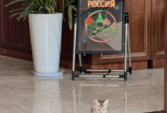 Гостиница Enclave Country B&B (Yunshuijian Branch)