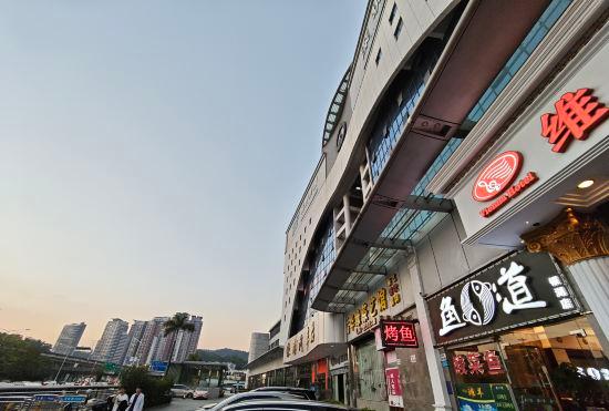 Vienna Hotel (Shenzhen Bijiashan Yinhu subway station)