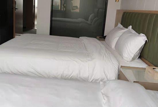 Гостиница Huating Lijing Hotel (Pengxin Branch of Shenzhen International Convention and Exhibition C