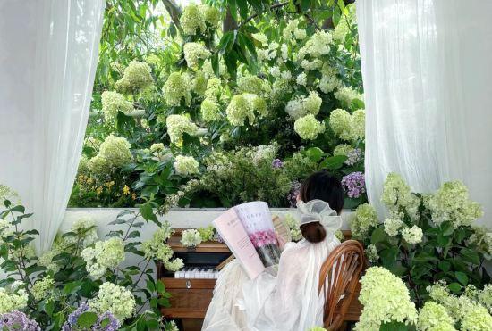 Гостиница DaLi·Flowers bloom that year raditional garden experience homestay (Ancient City Branch)