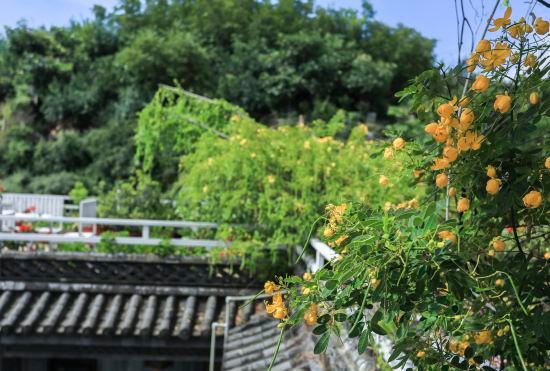 Гостиница Dali Xubao Courtyard (Nanzhao Style Island Shuanglang Ancient Town Scenic Spot Store)