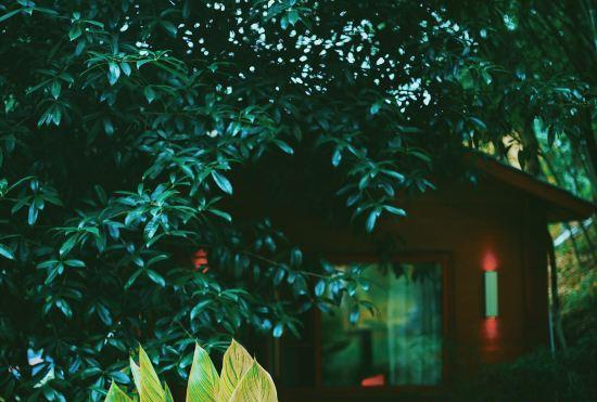 Гостиница Changsha Nanting Shiguang Homestay