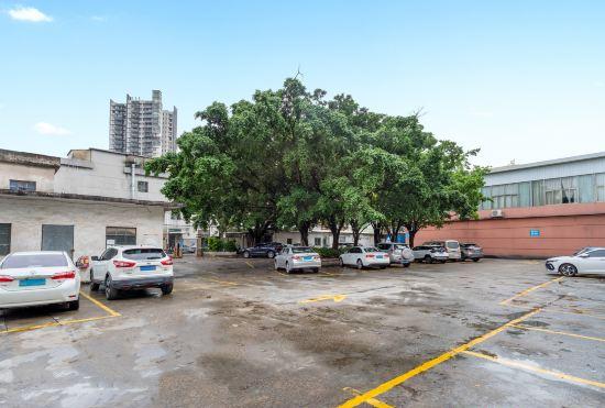 New Town Hotel (Dongguan Daoyu Zhenxing Road)