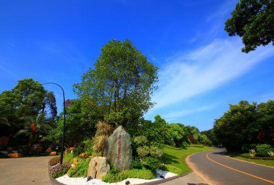 Birds Resorts Hotel & Villa