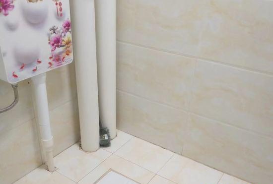 Hotel Nanning Xiyangyang B&B