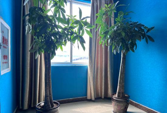 Гостиница Nanyang Water View Fashion Hotel (High-tech Wandelong Branch)