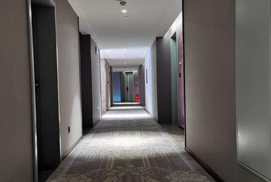 Гостиница Mercure Hotel (Wuhan Yangluo Development Zone)