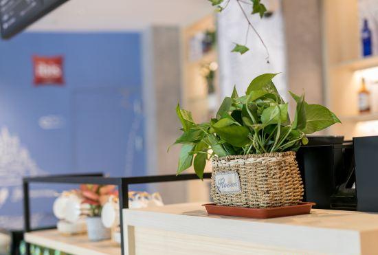 Гостиница Ibis Hotel (Shanghai Hongqiao Hub Qibao)