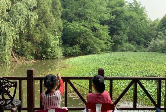 Гостиница Dongping National Forest Park RV Camp