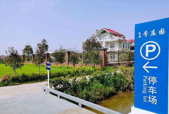Гостиница Chongming No. 1 Manor