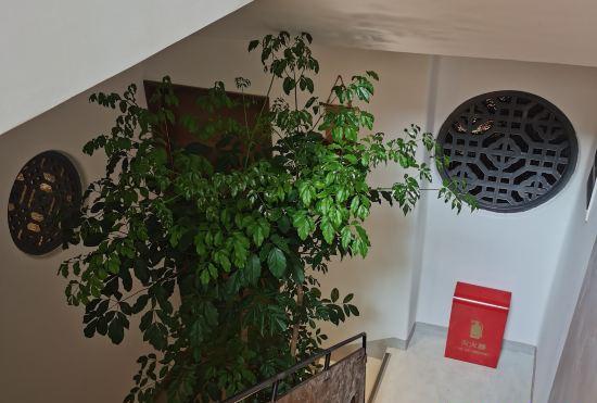 Гостиница Ruo Ri Wang Lou B&B（Shanghai Zhujiajiao Ancient Town Store）
