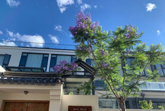 Гостиница BaliVilla Ideal Afternoon Inn (Dali Ancient Town Branch)