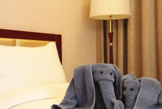 Гостиница Qujiang Yinzuo Hotel