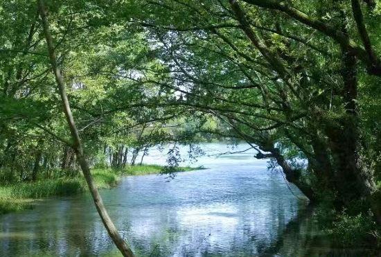 Hotel Wangshan Life Fishing Snow Garden Natural Aesthetics Homestay (Huangshan Xixinan Ancient V
