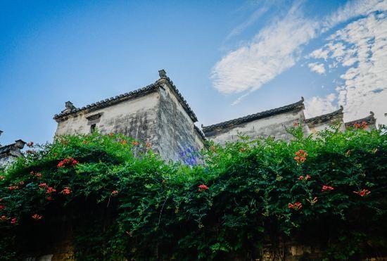 Гостиница Fengle Caotang Inn