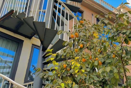 Hotel Yongjia Yanxi River Yanhui Qizhu Homestay