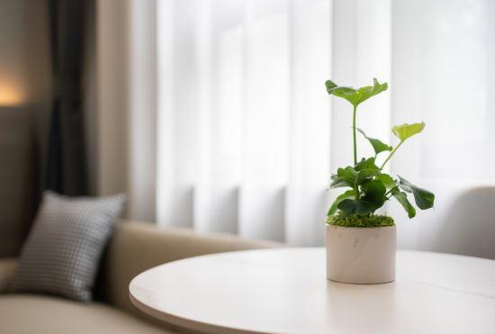 Hotel Home Inn (Qufu Chunqiu East Road Sankong Branch)