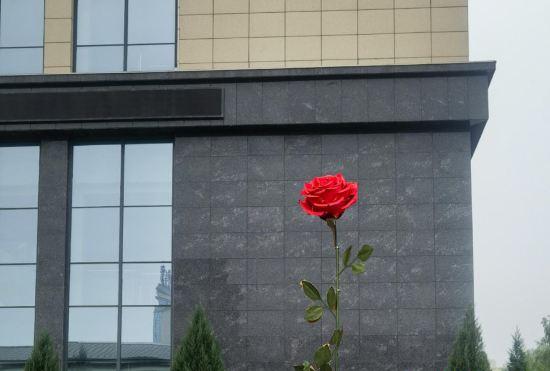 Гостиница Baoding Xingrui Hot Spring Hotel