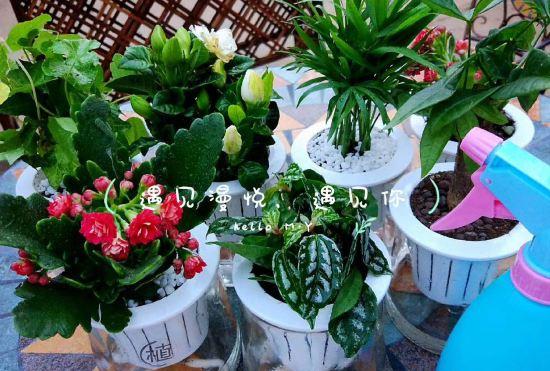 Гостиница Weizhou Island Manyue Homestay (Shiluokou Beach Shop)