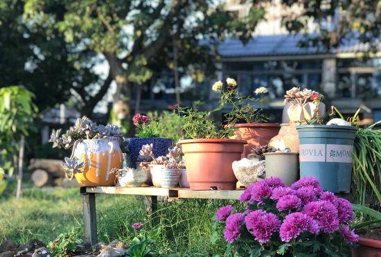 Гостиница Flowers like Jinmi Anning Island Inn