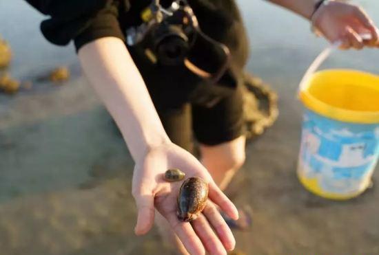 Гостиница Weizhou Island Zhanting Homestay