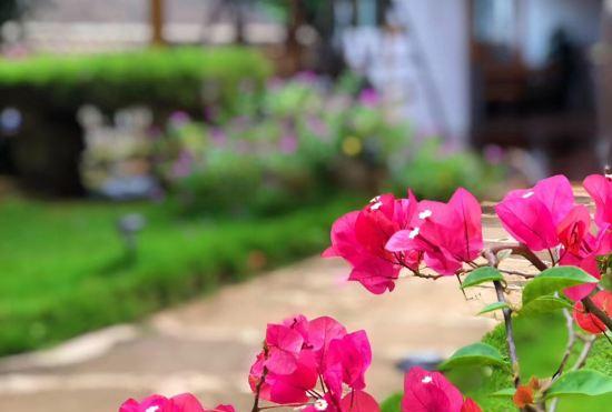 Hotel Yiyuan Yameng Homestay (Weizhou Island Colorful Beach Scenic Area)