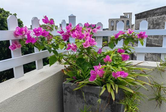 Гостиница Fenglian Homestay