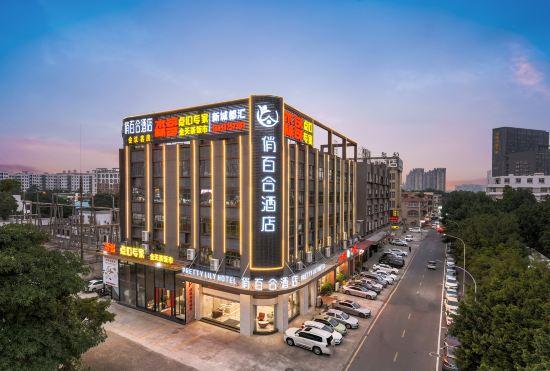 PRETTY LILY Hotel (Guangzhou South Railway Statio Jinlong Subway Station)
