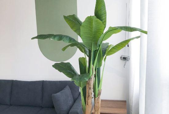 Hotel Mayfly Homestay ( Wangjiawan Second )