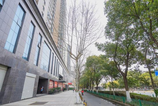 Гостиница Shengxingyuan Hotel (Wuhan Institute of Sports Branch)