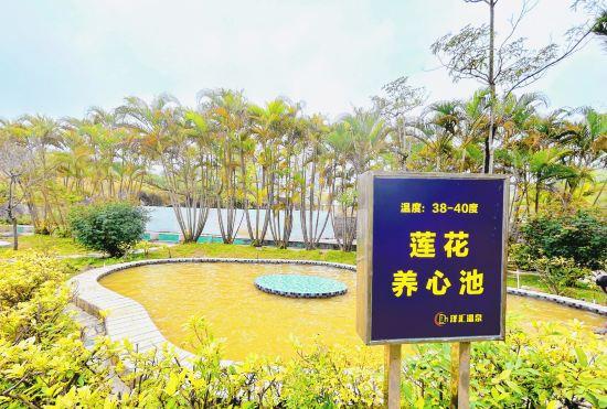 Hotel Taishan Zehui Hot Spring Resort