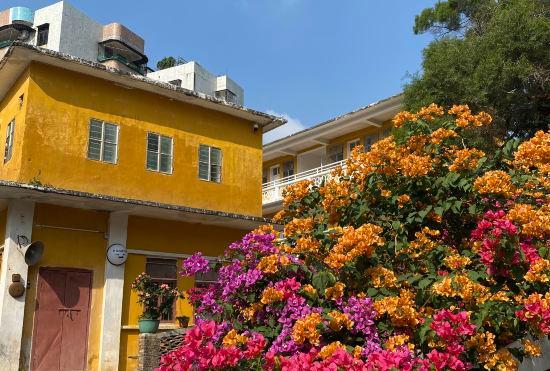 Гостиница Taishan Qingyun Mountain House Homestay