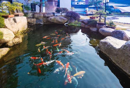 Hotel Yunshang Grassland Yinshe Courtyard Meisu