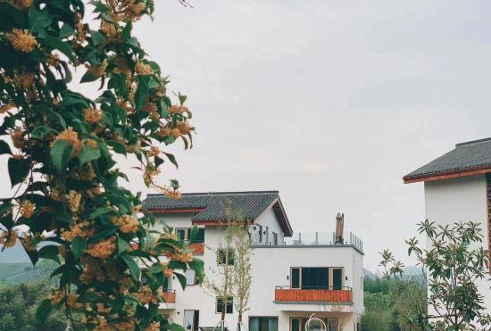 Hotel Qiyun·Anji Chashan Yelu Hot Spring Homestay