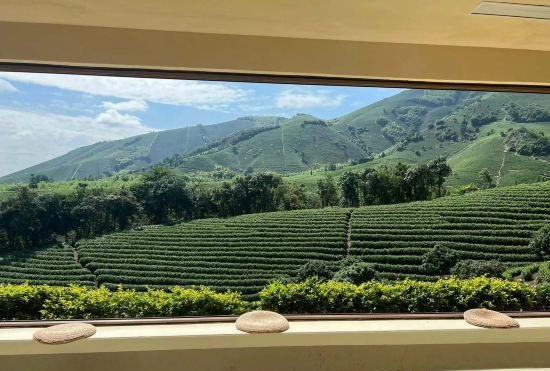 Hotel Anji White Tea Yuan · Tree Under Little White House Deer Language Parent Child Vacation St