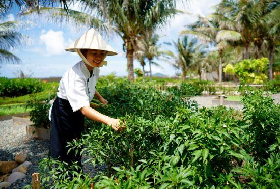 Гостиница Six Senses Con Dao