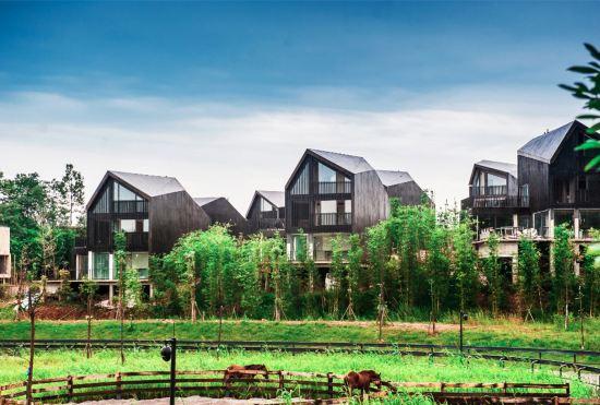Гостиница Fushengyu Resort
