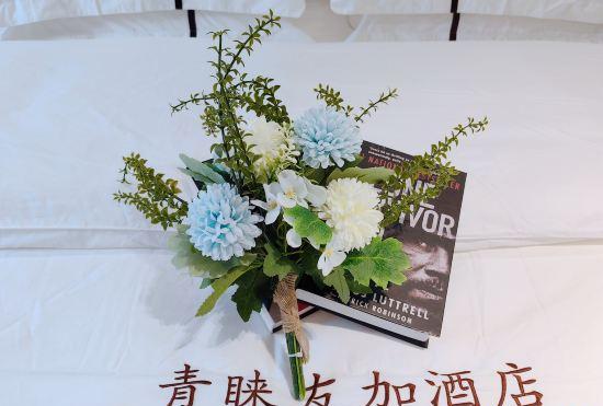 Гостиница Favor Youjia Hotel (Changde and Rui Happy City Railway High speed Railway Station Branch)