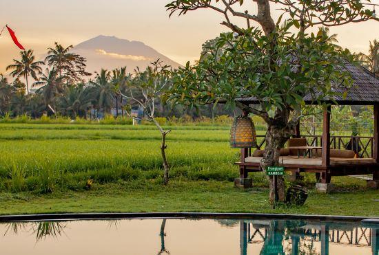 Гостиница Arya Villas Ubud