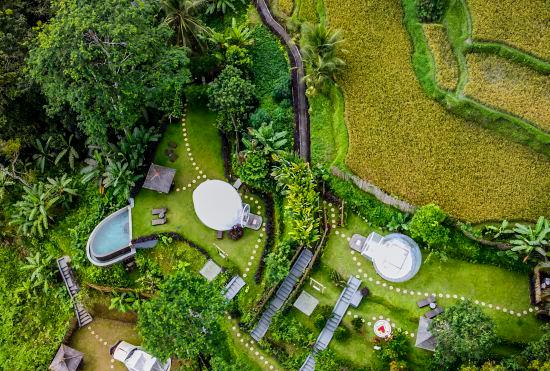 Гостиница Bubble Hotel Bali Ubud - Adults Only