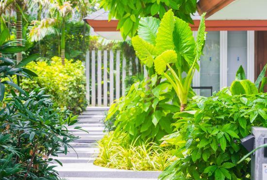 Hotel Synergy Samui