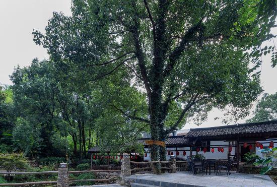 Floral Hotel·Laigui road Wang B & B (Donglin Temple Lushan cableway store)