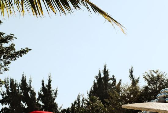 Гостиница Begonia Hotel