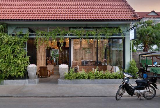 Hotel The Jungle