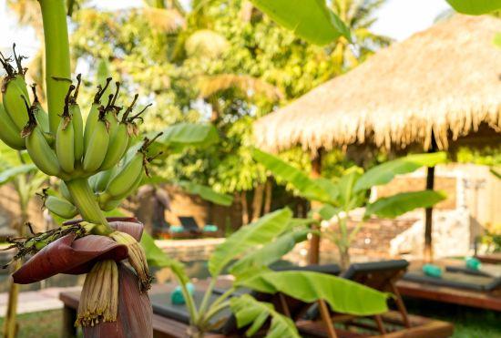 Hotel Authentic Khmer Village Resort