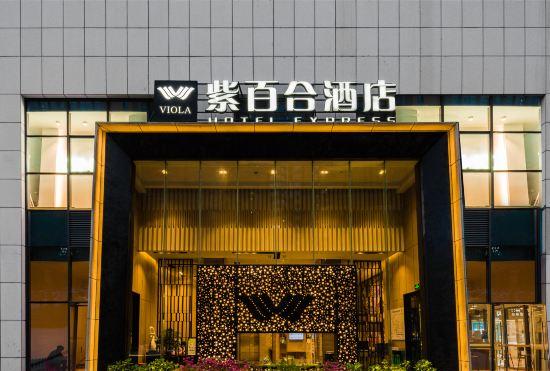 Гостиница Viola Hotel Express