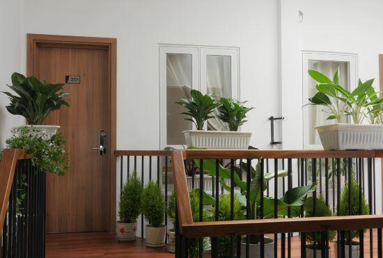 Hotel Feliz Dalat Homestay