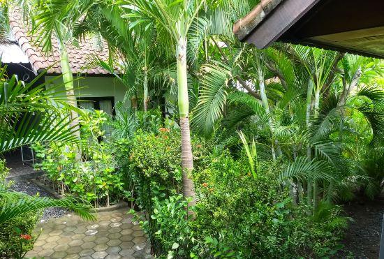 Гостиница Scuba Tribe Bali Dive-Resort